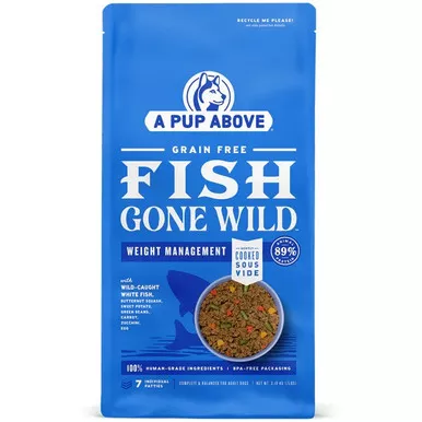 A Pup Above Fish Gone Wild