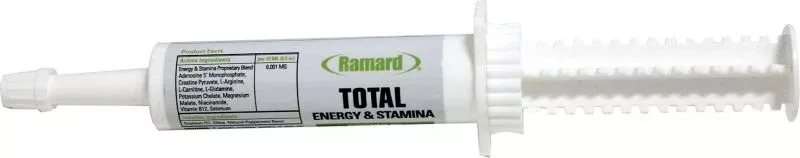 Ramard Total Energy/Stamina 15 Ml Oral Gel Mint